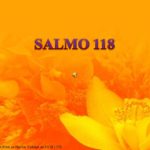 18/11/2016 –  Salmo – Sl 118 (119)