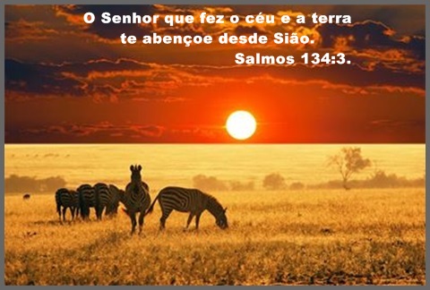 08/07/2017 – Salmo 134