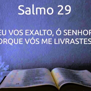 05 05 Salmo 29