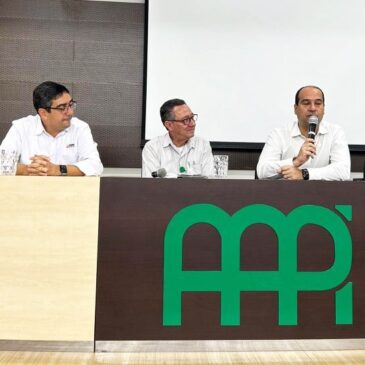 Controle acionário da Usiminas é tema de debate na AAPI